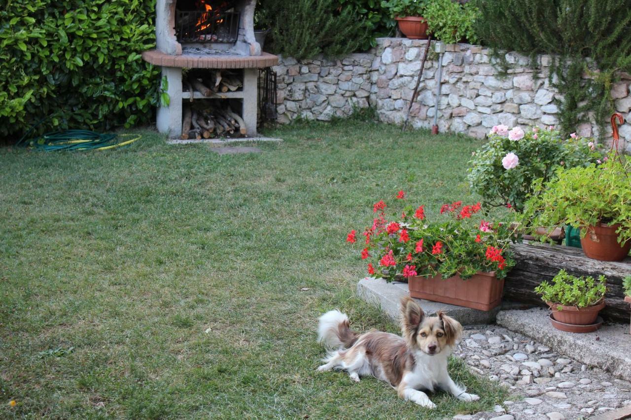 Agriturismo Roccagelli Vallo di Nera Eksteriør billede