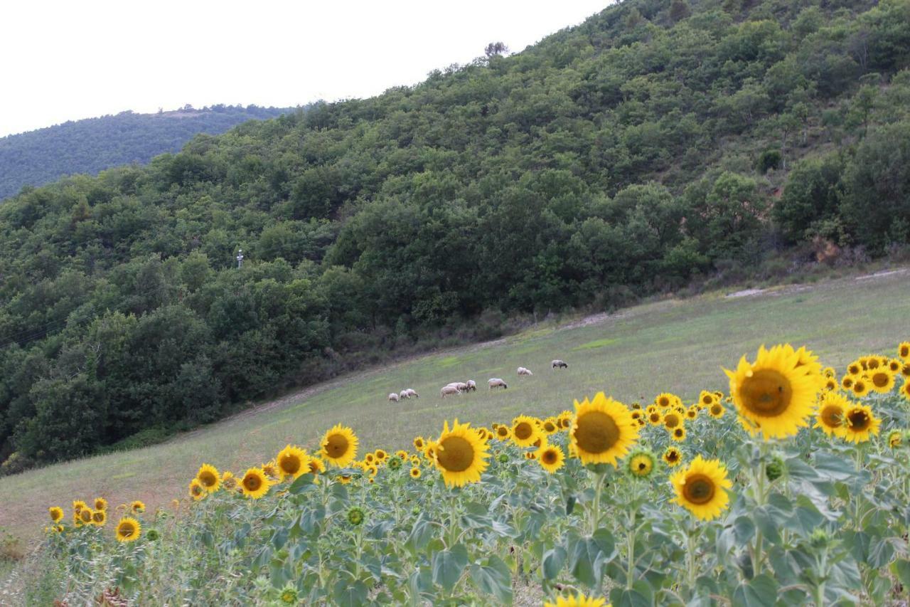 Agriturismo Roccagelli Vallo di Nera Eksteriør billede