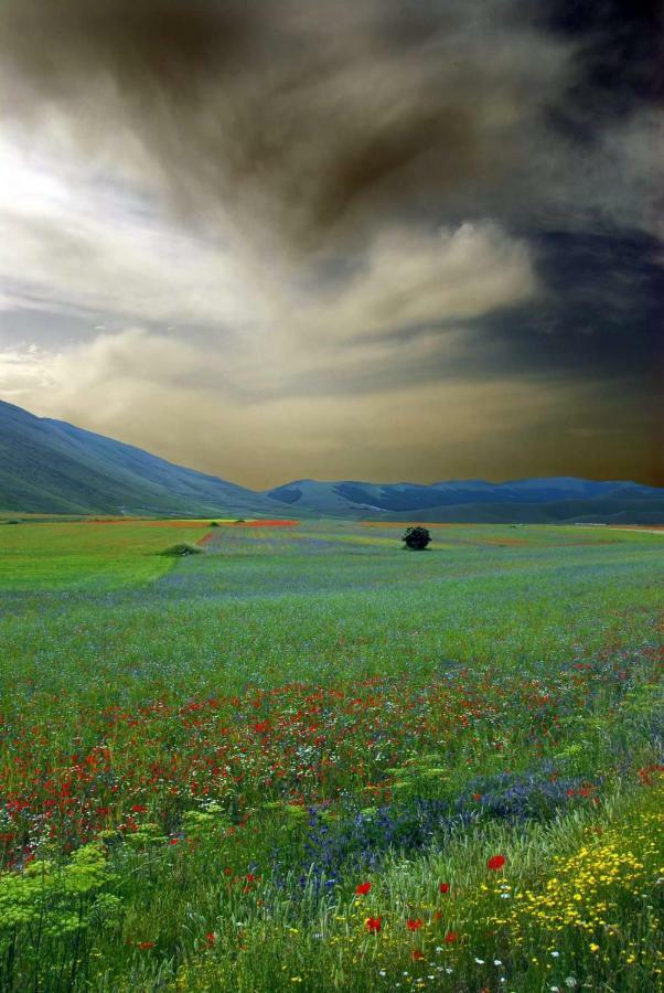 Agriturismo Roccagelli Vallo di Nera Eksteriør billede